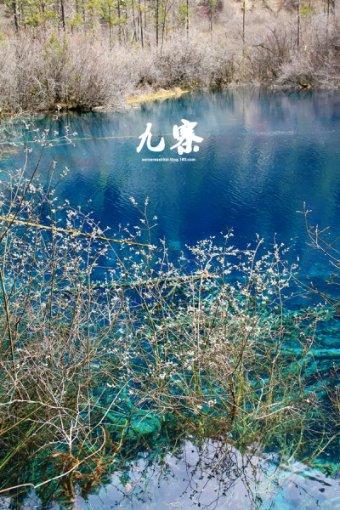 怎么表达喜欢游戏画面