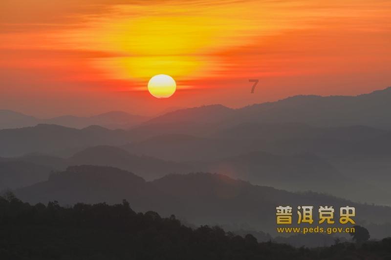 章鱼喷墨汁